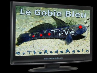Gobie Bleu TèVé Intro 2010