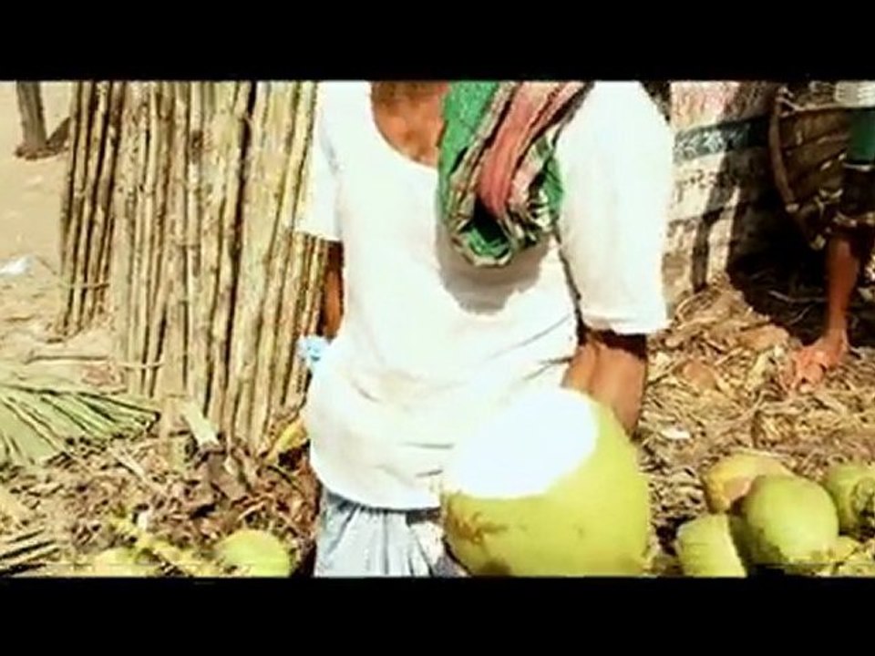 Coconut Shots