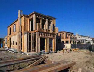 drywood termites accessing structure