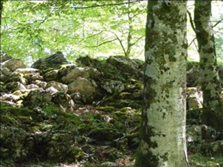 RAM Canalisation du 02-01-2010 part2.2