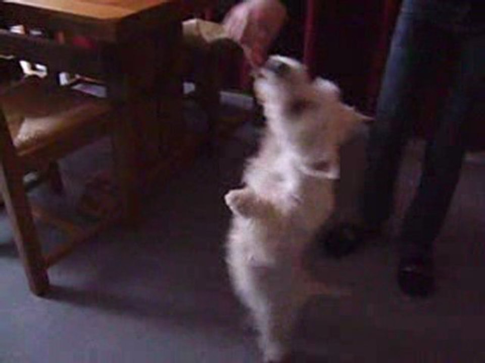 Choupette et sa friandise ! ! ♥