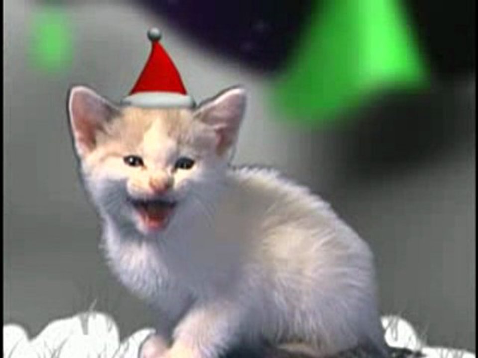 Christmas_cats