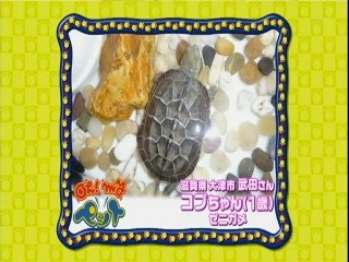 スキマでジャルジャル(2009.10.17)