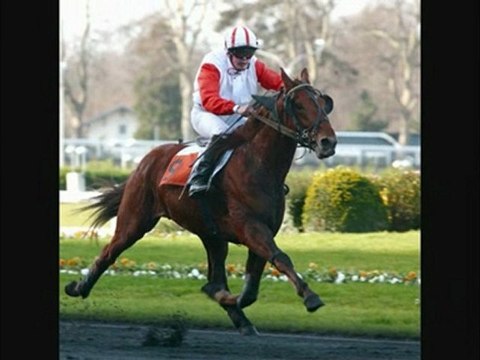 trot monté et attelé whith techno