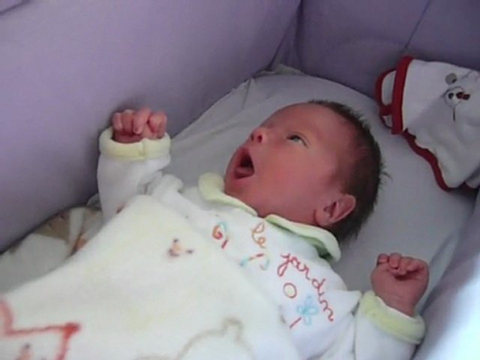 alan 7 jours