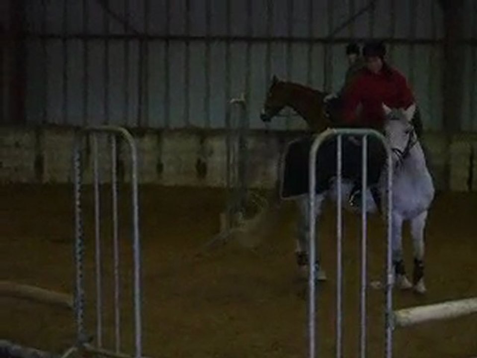 Isis, saut d'obstacle - cours du 15/o1/1o