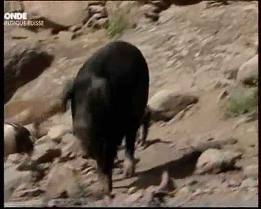 Identité : il cuisine sa terre !