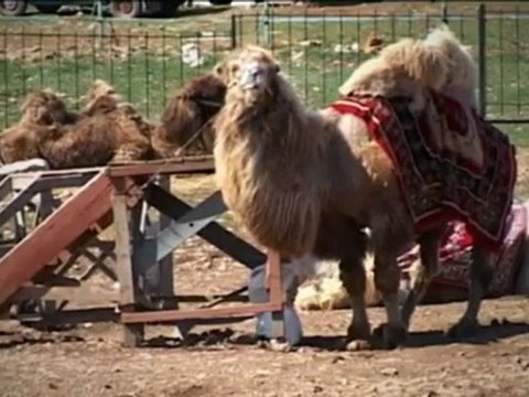 Ялта, Крым, Учан-Су (crimea, yalta, ay-petri, uchan-su)