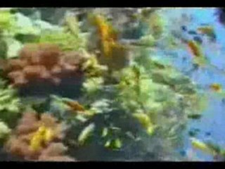 sami  yusuf who  is the loved one (english)