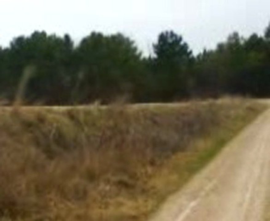 chemin de coupéville seb et guillaume pit bike susuki 50rm