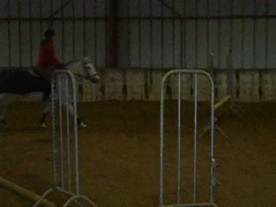 Isis, saut d'obstacle - cours du 15/o1/1o