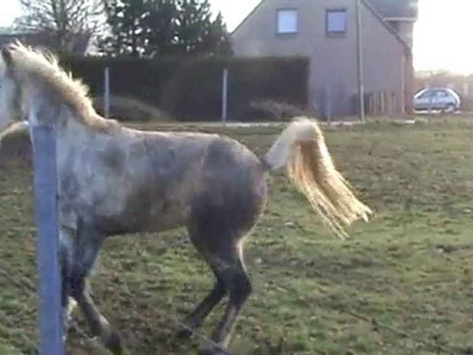 20100114113345