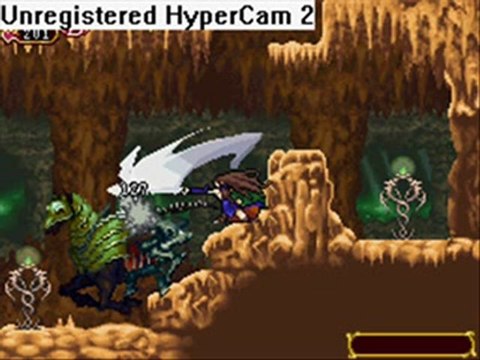 Castlevania: Order of Ecclesia ~ Bug bidon