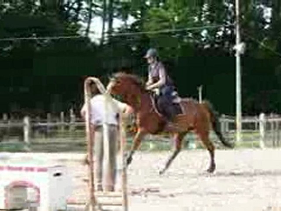 Saut