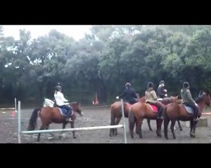 Reprise du 16 janvier 2010