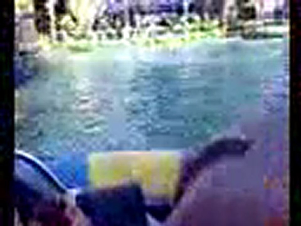 FELIPE EN BOTE