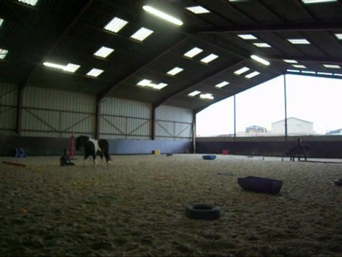 Jeux a cru avec les poneys = 4 Chutes