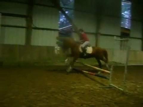 Saut avec mon Cheval <3