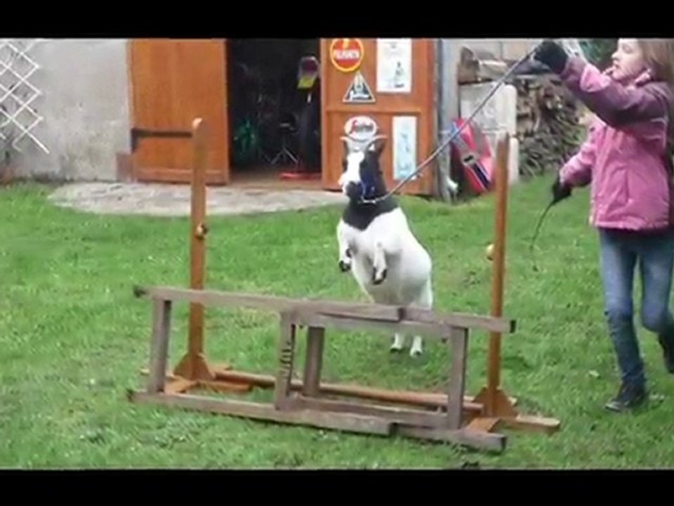 sans echec ... aucune réussite!