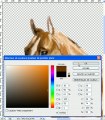 colorisation sur photoshop 5