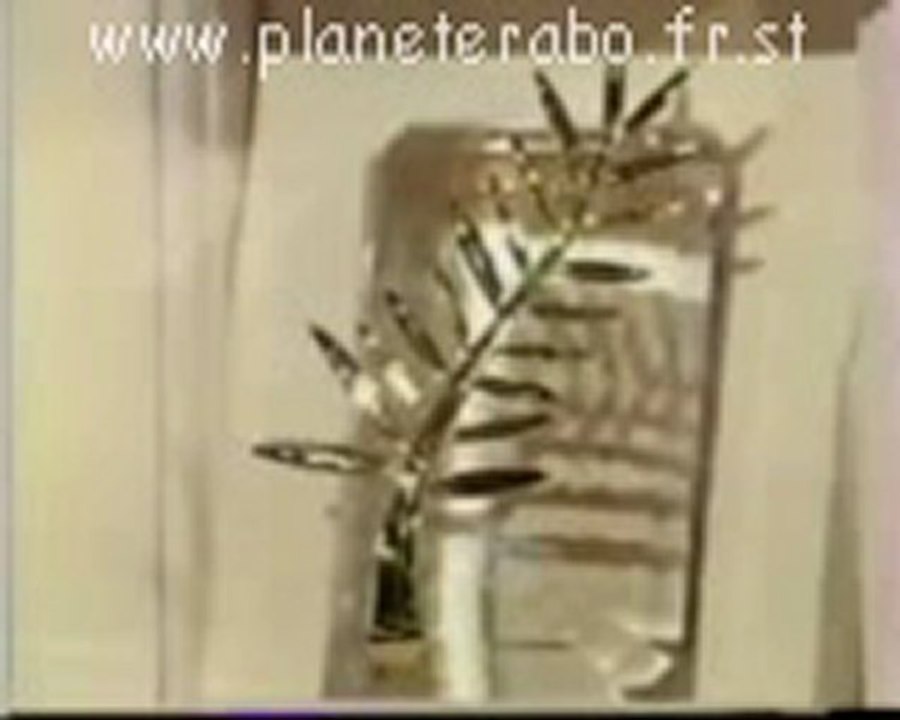 Sophie Marceau A Cannes Incontournable Du Ridicule