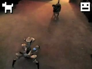 Puppy+Vs.+Robot!+Epic+Battle