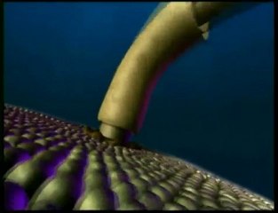 Dechiffrer les mystères de la vie (3)