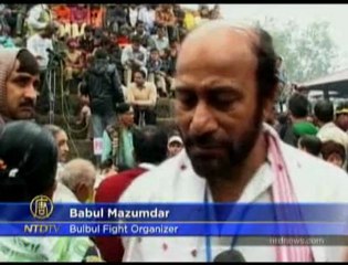 Indian Temple Preserves Tradition of Bird Fighting