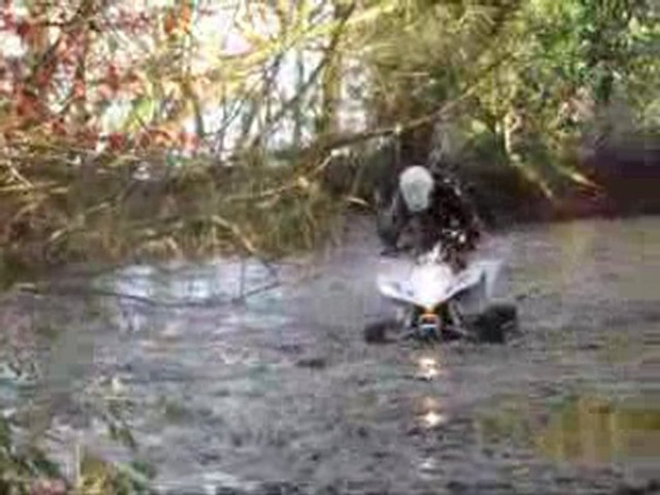 quad 590