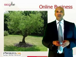 SEOJoe on Consultative Selling Success Factors