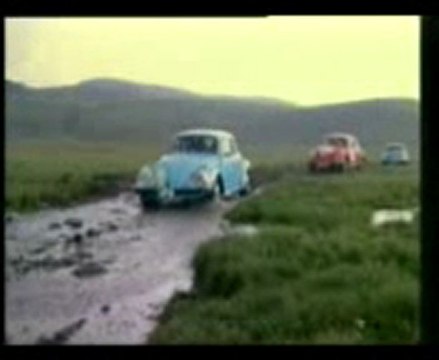 Ordu Vosvos Senligi_2002temmuz