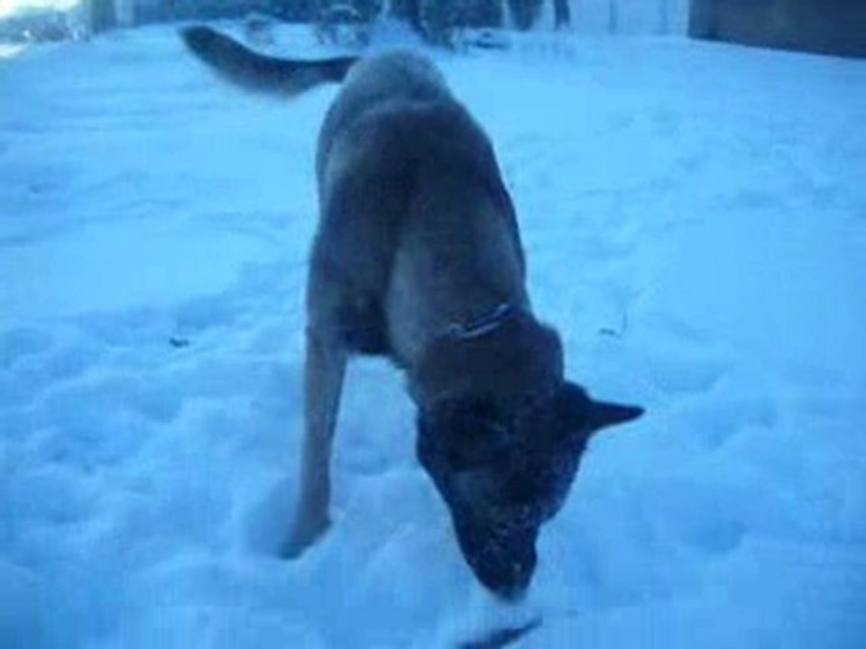 Dodge et Mirka - Neige Dec 2009