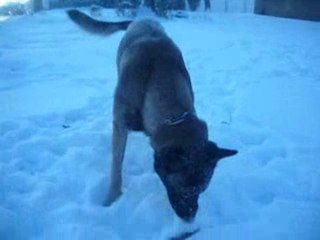 Dodge et Mirka - Neige Dec 2009