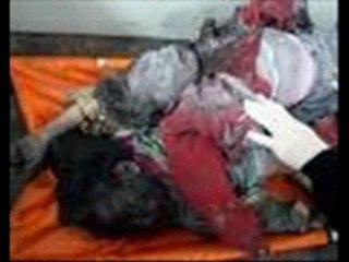 GAZA and dririgeants (sheep) from Egypt