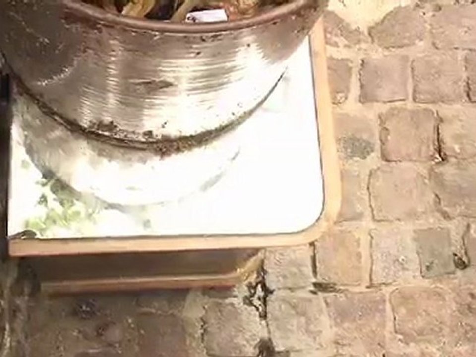 Farandole des rescapés