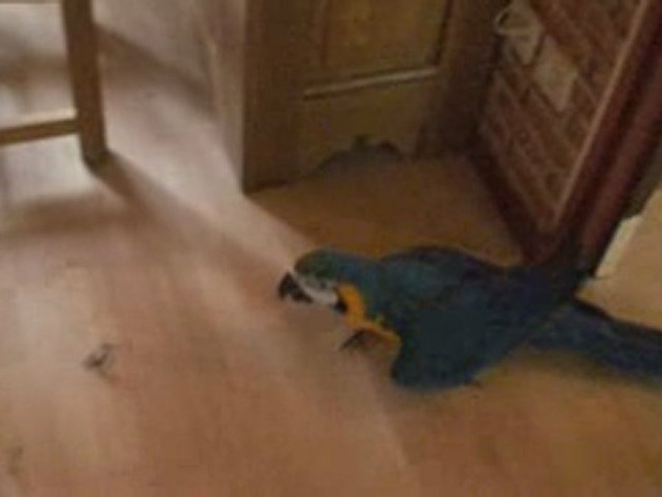Orphée ouvre la porte de sa chambre