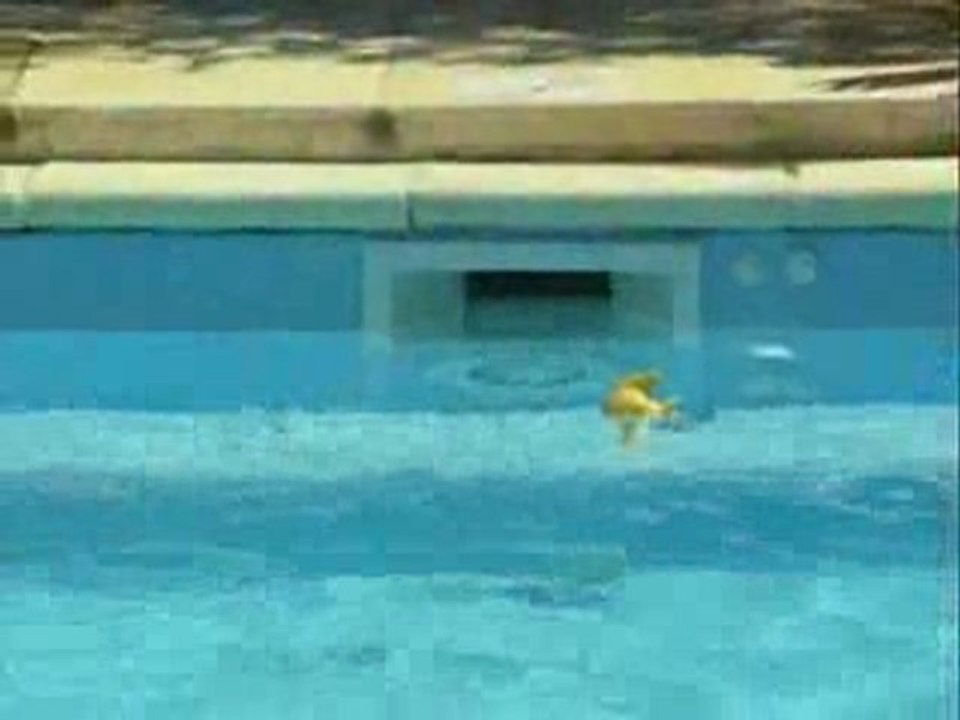PISCINE EN CORSE MAXIPOOL