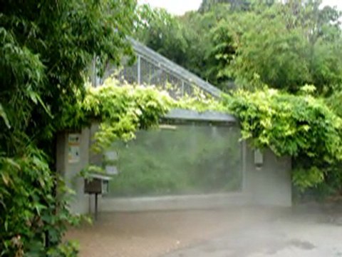 Kit microclimas de agua zoo WWW.BRUMEFRESH.COM