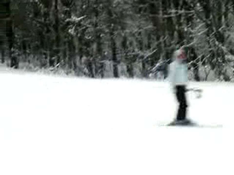 ski