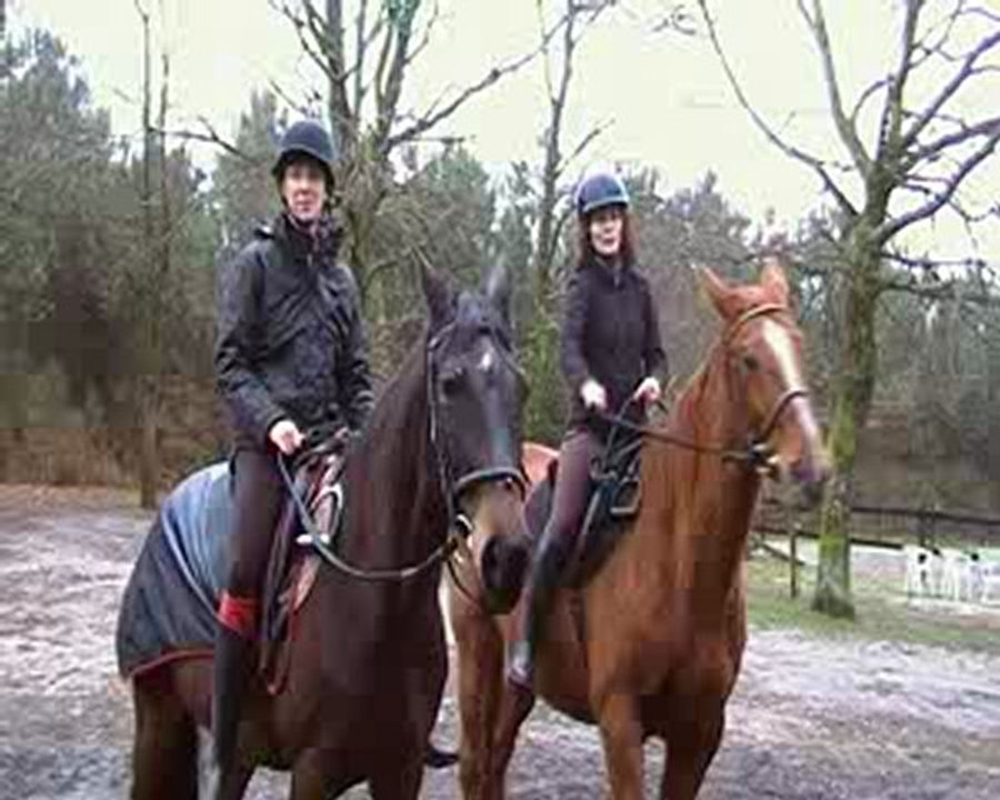A CHEVAL