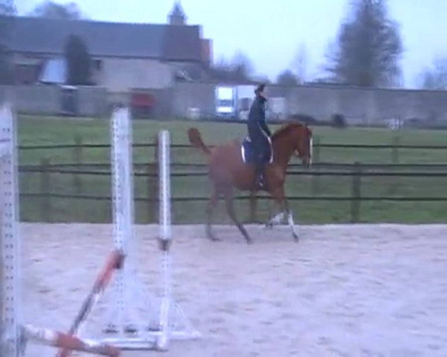 Nankin obstacle