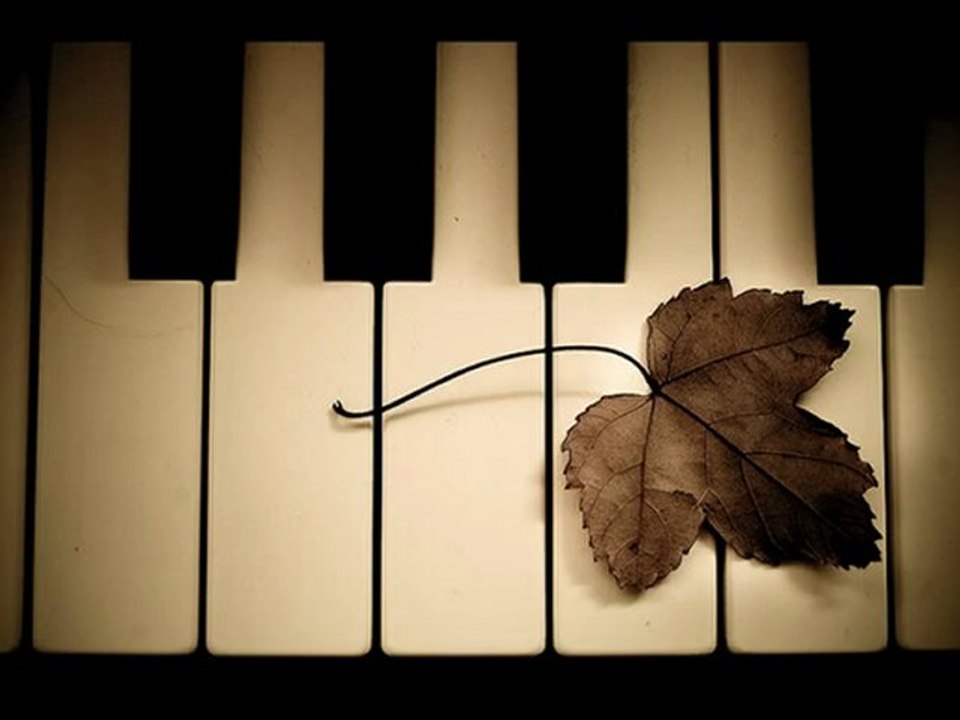 Shahrdad Rohani - Voice Of The Night