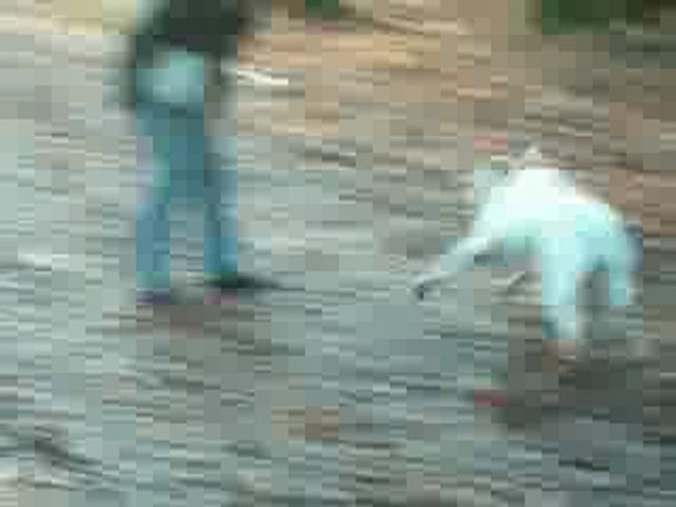 voyou en foret