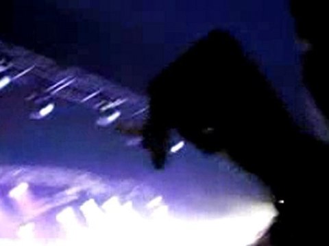 concert caravane palace paléo 2009 3/3