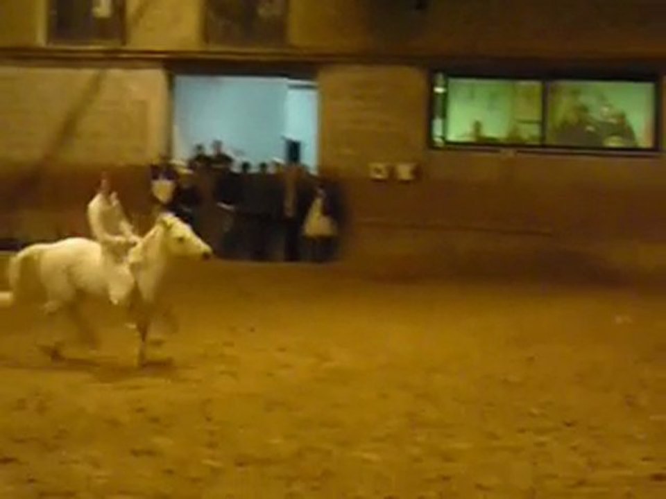 Mon spectacle equestre