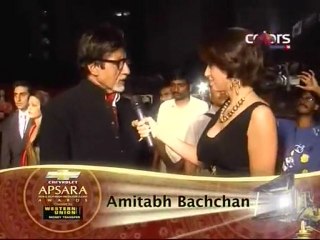 Apsara Red Carpet.17thJan2010-Ac-3