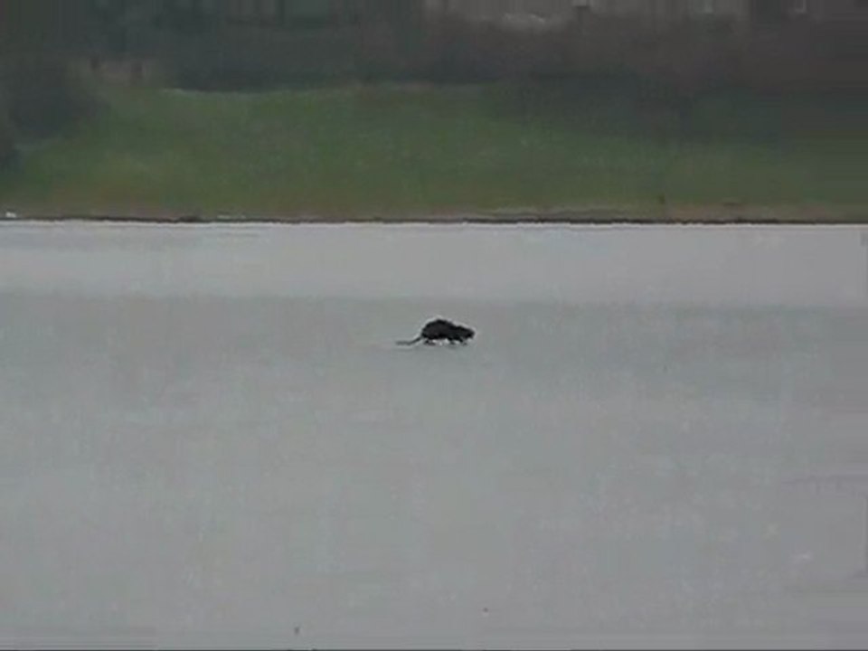 VTT St Aignan 2010 Petits Lu