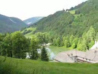 Chartreuse au Gd Bornand