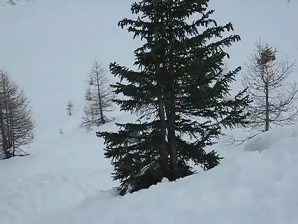 Backflip