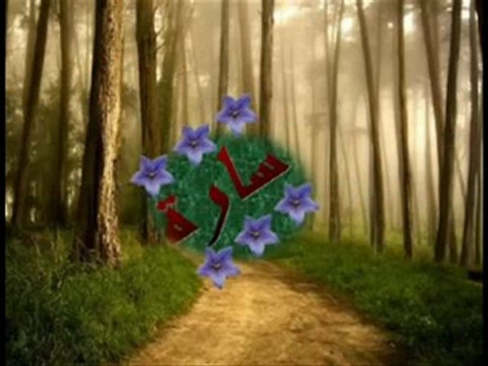 abu sara